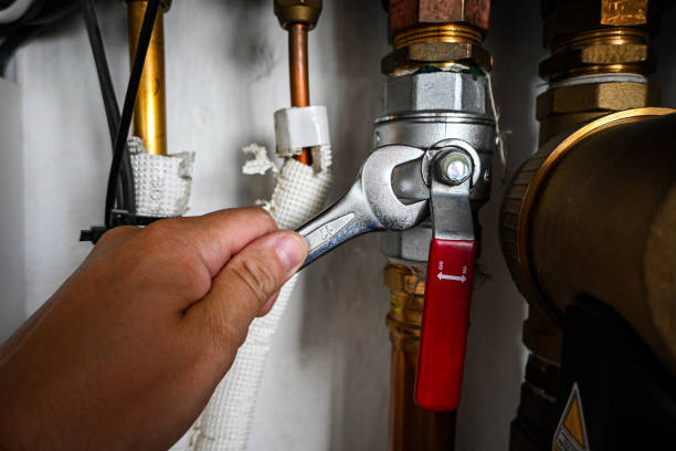 Best Water Softener Installation  in Pleasant Grove, AL